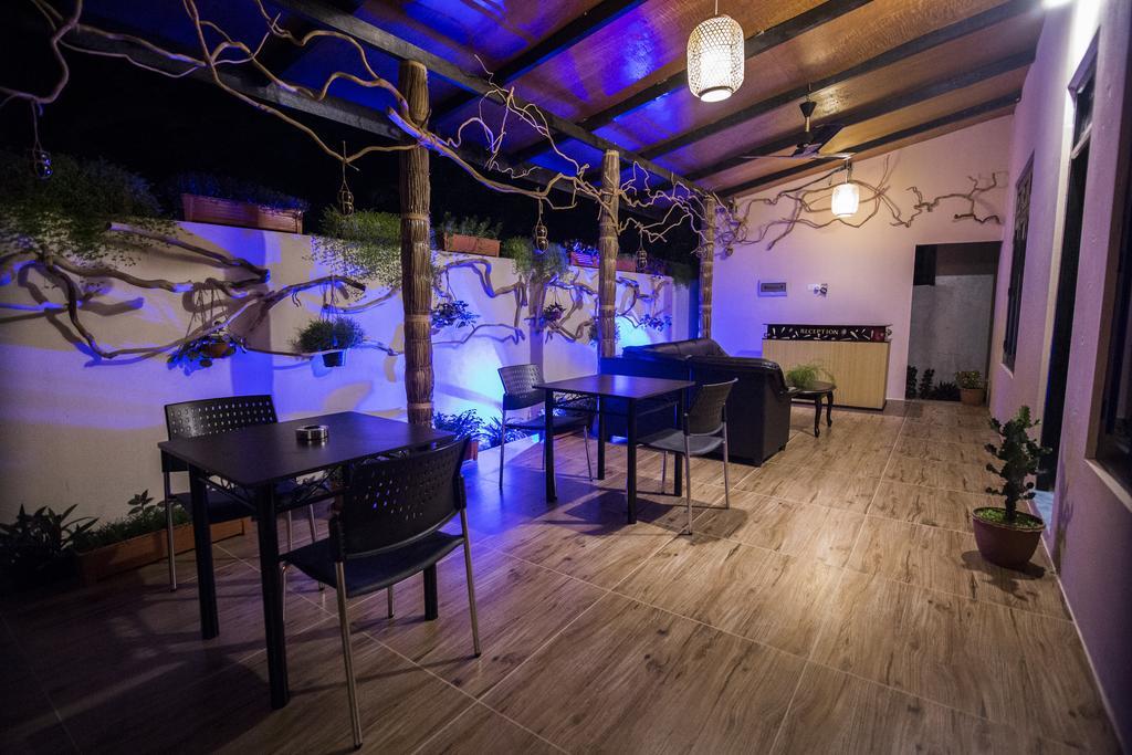 Hotel Ari Heaven Thoddoo Maldives Zewnętrze zdjęcie