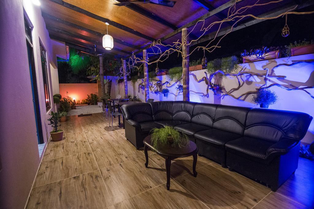 Hotel Ari Heaven Thoddoo Maldives Zewnętrze zdjęcie
